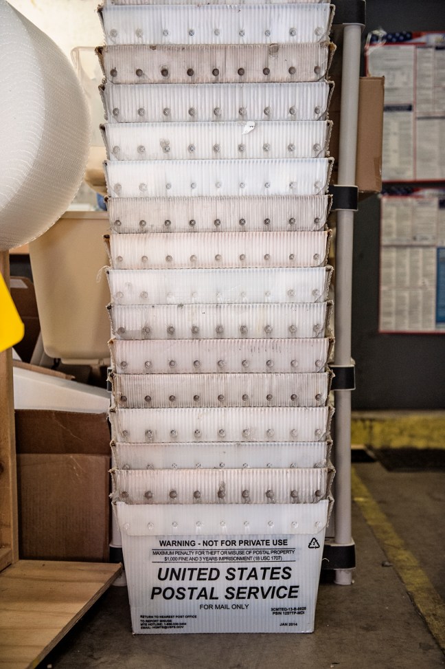 Courage in Stone - A Day in the Life of 039