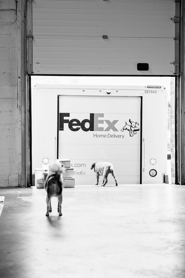 Courage in Stone - A Day in the Life of 051