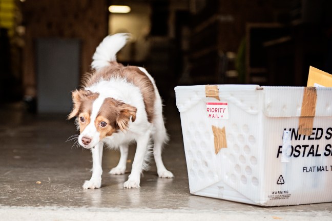 Courage in Stone - A Day in the Life of 070