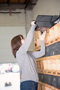 Courage in Stone - A Day in the Life of 071