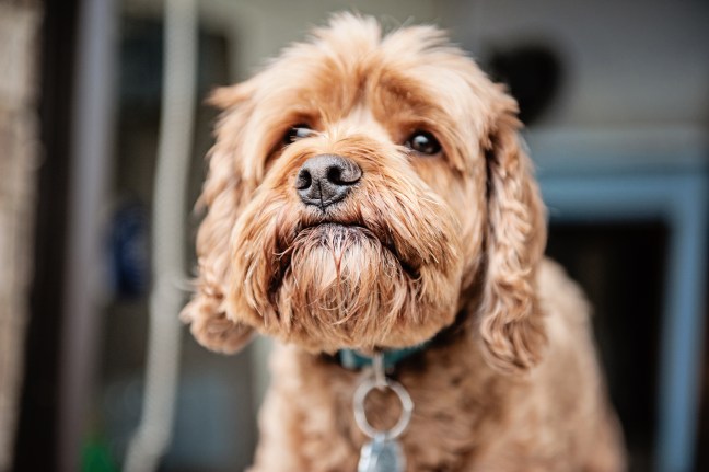 Courage in Stone A Day in the life of 081